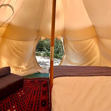 Casa de hóspedes Glamping Do Zê Cernache do Bonjardim