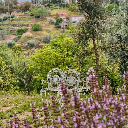 Glamping Do Zê