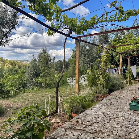 Casa de hóspedes Glamping Do Zê *