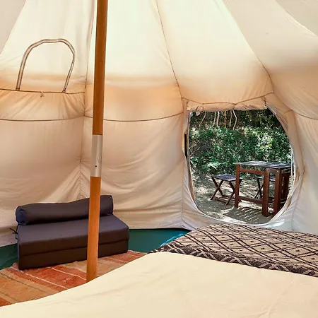 Glamping Do Ze Pensionat Cernache do Bonjardim