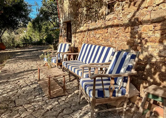 Glamping Do Zê Casa de hóspedes Cernache do Bonjardim