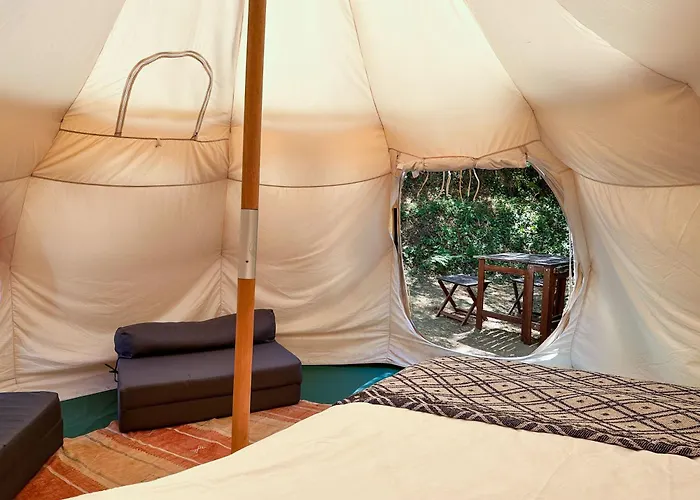 Glamping Do Zê Casa de hóspedes Cernache do Bonjardim