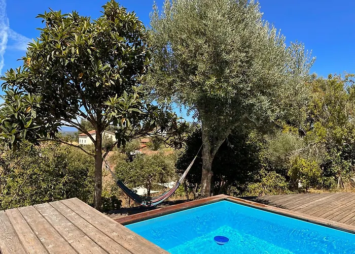 Glamping Do Zê Casa de hóspedes Cernache do Bonjardim
